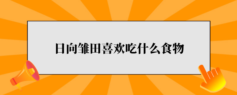 日向雏田喜欢吃什么食物.jpg