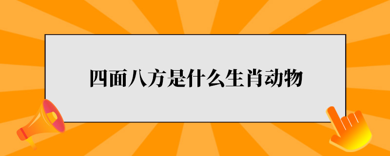 四面八方是什么生肖动物.jpg