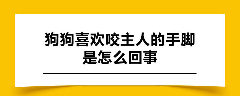 狗狗喜欢咬主人的手脚是怎么回事.jpg