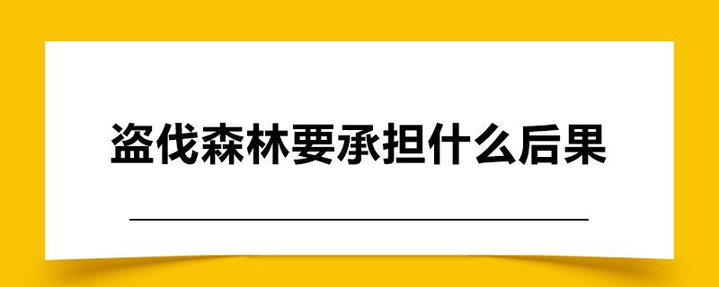 盗伐森林要承担什么后果.jpg